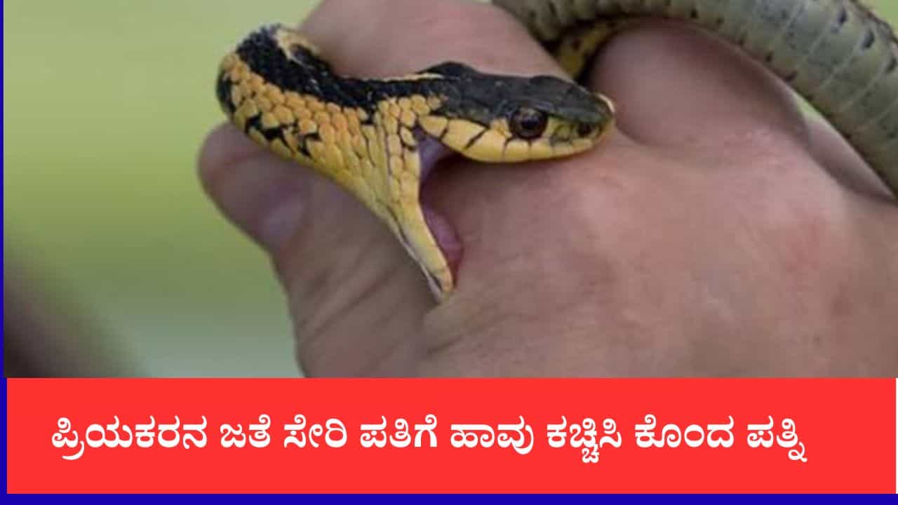 ಪ್ರಿಯಕರನ ಜತೆ ಸೇರಿ ಪತಿಗೆ ಹಾವು ಕಚ್ಚಿಸಿ ಕೊಂದ ಪತ್ನಿ, ತನಿಖೆ ವೇಳೆ ಬಯಲಾಯ್ತು ನಾಲ್ಕು ತಿಂಗಳ ಸ್ಕೆಚ್ ಪ್ರಿಯಕರನ ಜತೆ ಸೇರಿ ಪತಿಗೆ ಹಾವು ಕಚ್ಚಿಸಿ ಕೊಂದ ಪತ್ನಿ, ತನಿಖೆ ವೇಳೆ ಬಯಲಾಯ್ತು ನಾಲ್ಕು ತಿಂಗಳ ಸ್ಕೆಚ್