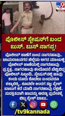 ಚಾಮರಾಜನಗರ ಪೊಲೀಸ್ ಠಾಣೆಯೊಳಗೆ ನಾಗರಹಾವು ಪ್ರತ್ಯಕ್ಷ