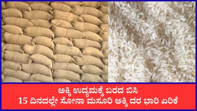 ಬರದಿಂದ ಕುಸಿದ ಭತ್ತ ಬೆಳೆ, ಅಕ್ಕಿ ಬೆಲೆ ಭಾರೀ ಏರಿಕೆ