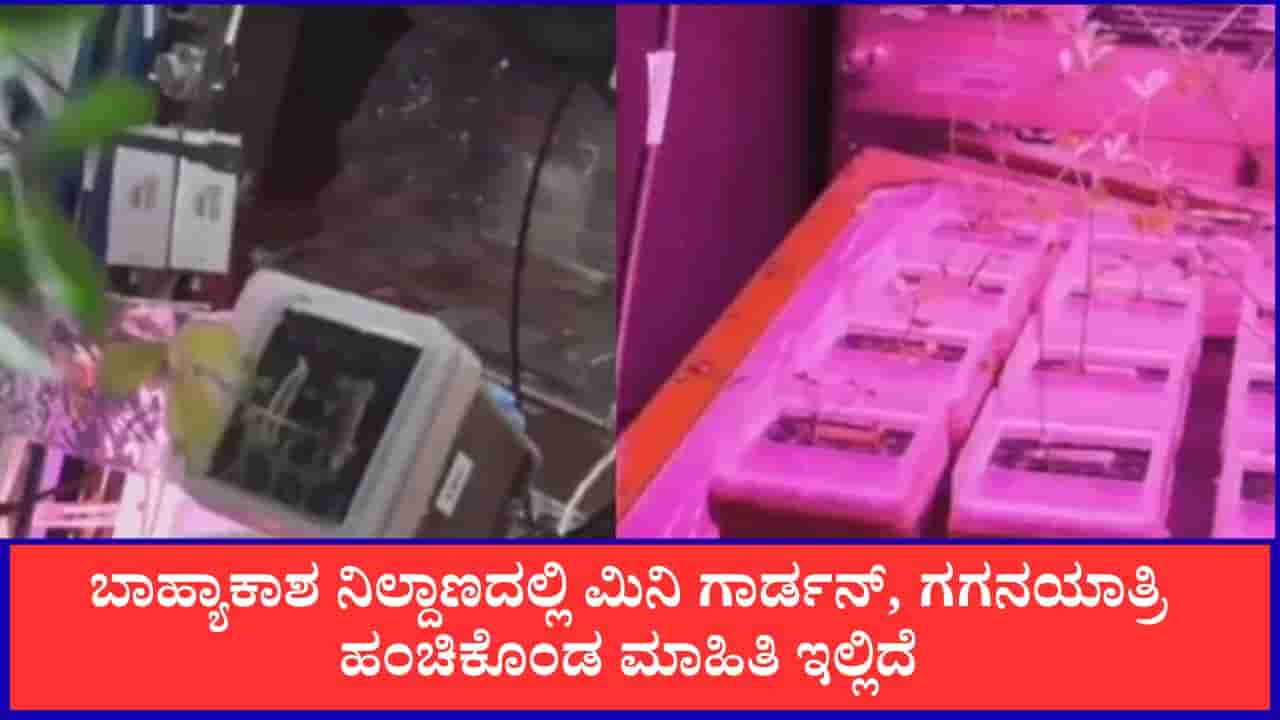 ಬಾಹ್ಯಾಕಾಶದಲ್ಲೊಂದು ಮಿನಿ ಉದ್ಯಾನ, ವಿಡಿಯೋ ಹಂಚಿಕೊಂಡ ಗಗನಯಾತ್ರಿ