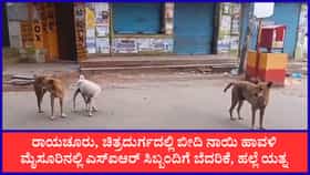 Live: ಜಮ್ಮು-ಕಾಶ್ಮೀರದಲ್ಲಿ ದಿಢೀರ್‌ ಪ್ರವಾಹ: 11 ಜನ ಸಾವು
