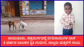 ರಾಯಚೂರು, ಚಿತ್ರದುರ್ಗದಲ್ಲಿ ಬೀದಿನಾಯಿ ದಾಳಿ: ಬಾಲಕನ ಸ್ಥಿತಿ ಗಂಭೀರ