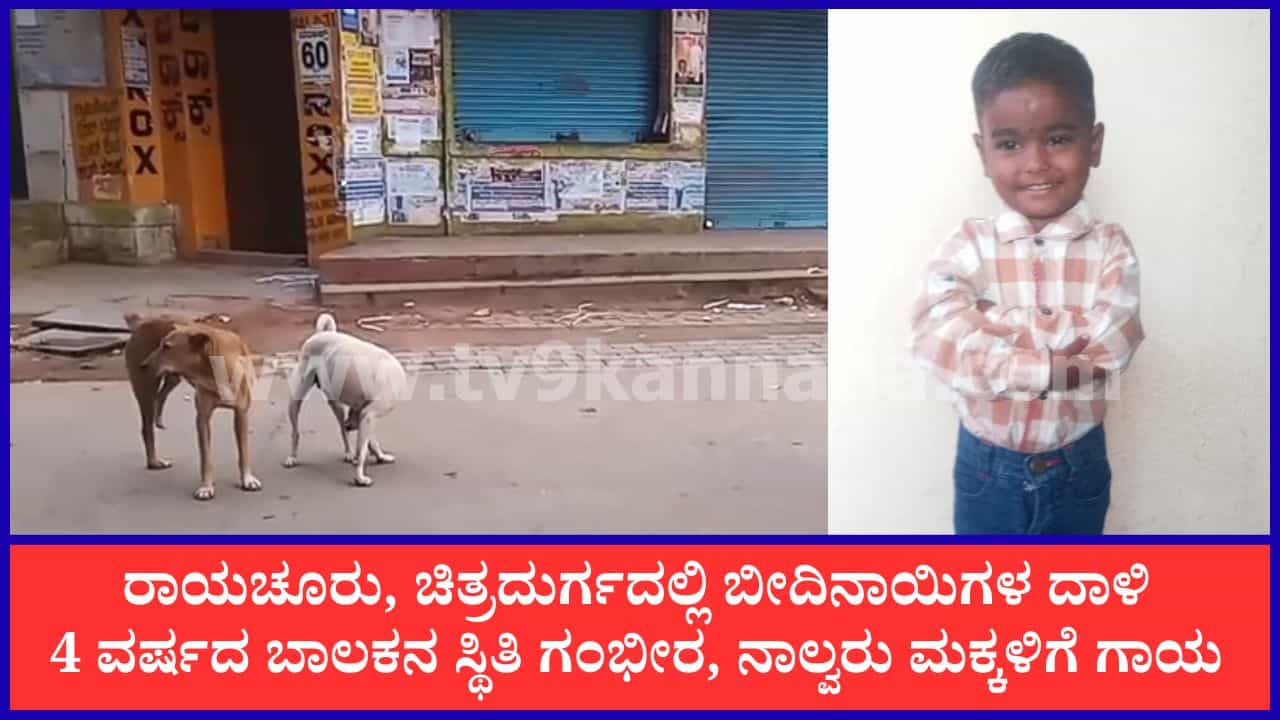 ರಾಯಚೂರು, ಚಿತ್ರದುರ್ಗದಲ್ಲಿ ಮತ್ತೆ ಬೀದಿನಾಯಿಗಳ ದಾಳಿ: 4 ವರ್ಷದ ಬಾಲಕನ ಸ್ಥಿತಿ ಗಂಭೀರ, ನಾಲ್ವರು ಮಕ್ಕಳಿಗೆ ಗಾಯ ರಾಯಚೂರು, ಚಿತ್ರದುರ್ಗದಲ್ಲಿ ಮತ್ತೆ ಬೀದಿನಾಯಿಗಳ ದಾಳಿ: 4 ವರ್ಷದ ಬಾಲಕನ ಸ್ಥಿತಿ ಗಂಭೀರ, ನಾಲ್ವರು ಮಕ್ಕಳಿಗೆ ಗಾಯ