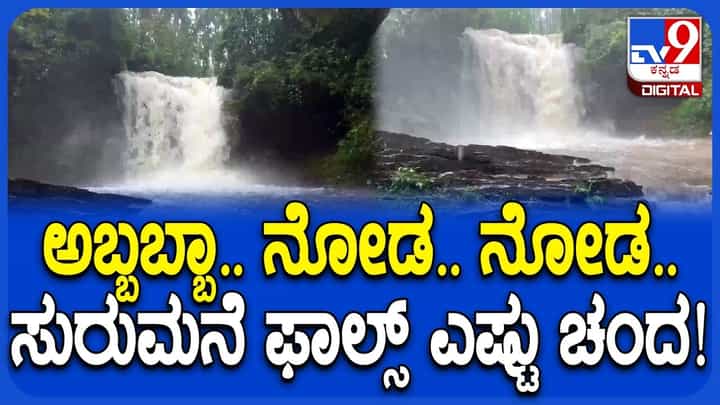 ಕಾಫಿನಾಡಿನಲ್ಲಿ ಮುಂಗಾರು ಮಳೆ ಆರ್ಭಟ: ಭೋರ್ಗರೆದು ಹರಿಯುತ್ತಿರುವ ಕಳಸದ ಪ್ರಸಿದ್ಧ ಸೂರುಮನೆ ಜಲಪಾತ ಕಾಫಿನಾಡಿನಲ್ಲಿ ಮುಂಗಾರು ಮಳೆ ಆರ್ಭಟ: ಭೋರ್ಗರೆದು ಹರಿಯುತ್ತಿರುವ ಕಳಸದ ಪ್ರಸಿದ್ಧ ಸೂರುಮನೆ ಜಲಪಾತ