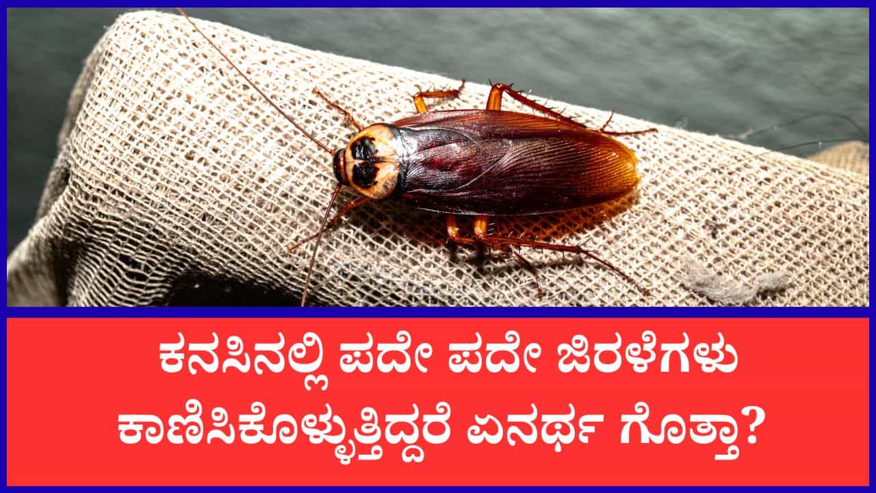 Swapna Shastra: ಕನಸಿನಲ್ಲಿ ಜಿರಳೆ ಕಂಡರೆ ಏನರ್ಥ? ಸ್ವಪ್ನಶಾಸ್ತ್ರ ಹೇಳುವುದೇನು ಗೊತ್ತಾ?