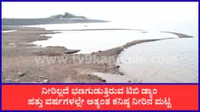 ರೈತರಿಗೆ ಕಹಿ ಸುದ್ದಿ: ಟಿಬಿ ಡ್ಯಾಂನಿಂದ ಕಾಲುವೆಗಳಿಗೆ ನೀರು ಪೂರೈಕೆ ಸ್ಥಗಿತ