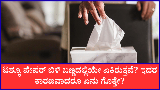 ಟಿಶ್ಯೂ ಪೇಪರ್‌ ಬಿಳಿ ಬಣ್ಣದಲ್ಲಿಯೇ ಏಕಿರುತ್ತವೆ?