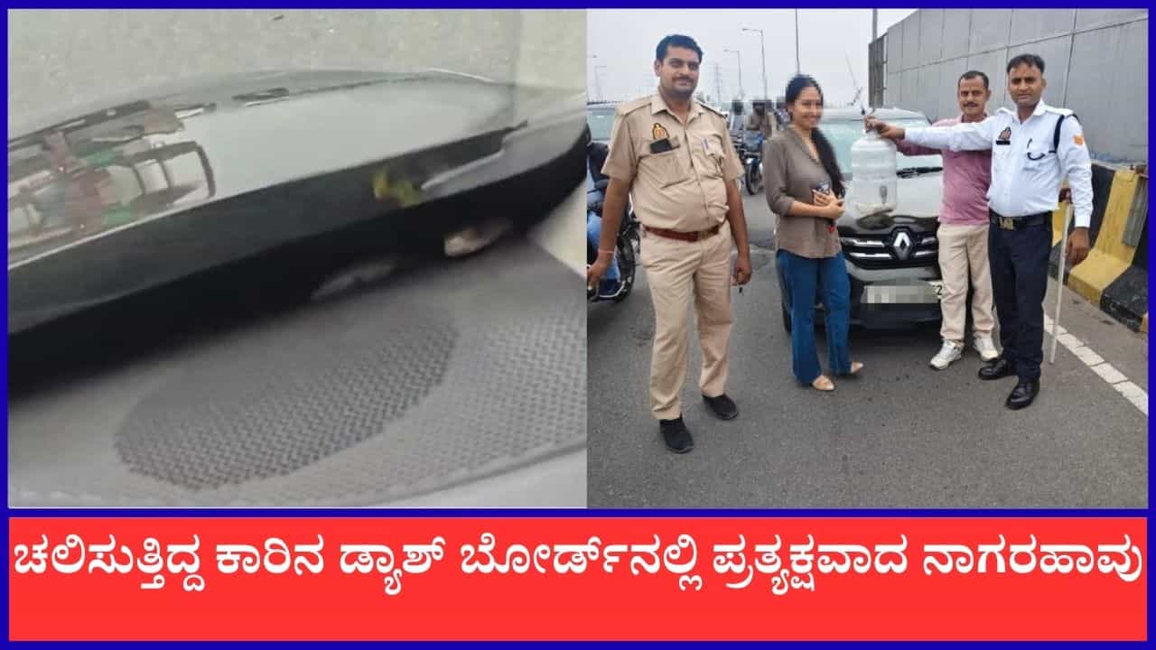 Video: ಚಲಿಸುತ್ತಿದ್ದ ಕಾರಿನ ಡ್ಯಾಶ್ ಬೋರ್ಡ್ನಲ್ಲಿದ್ದ ನಾಗರಹಾವು, ಮುಂದೇನಾಯ್ತು ನೋಡಿ Video: ಚಲಿಸುತ್ತಿದ್ದ ಕಾರಿನ ಡ್ಯಾಶ್ ಬೋರ್ಡ್ನಲ್ಲಿದ್ದ ನಾಗರಹಾವು, ಮುಂದೇನಾಯ್ತು ನೋಡಿ