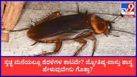 ಸ್ವಚ್ಛವಾಗಿದ್ದರೂ ಮನೆಯಲ್ಲಿ ಜಿರಳೆ ಇದ್ದಕ್ಕಿದ್ದಂತೆ ಹೆಚ್ಚಾಗುತ್ತಿವೆಯೇ?
