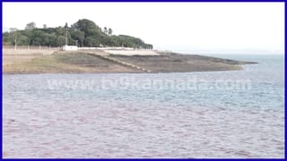 Karnataka Dam Water Level: ಇನ್ನೂ 100 ಅಡಿ ದಾಟಿಲ್ಲ KRS, ಆಲಮಟ್ಟಿಗೆ ಒಳಹರಿವು ಹೆಚ್ಚಳ; ಪ್ರಮುಖ ಡ್ಯಾಂಗಳ ನೀರಿನ ಮಟ್ಟ ವಿವರ