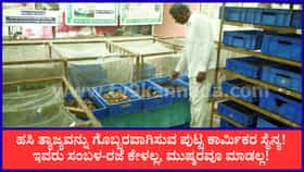 ಉಡುಪಿಯ ವಂಡ್ಸೆಯಲ್ಲಿ ಕೀಟಗಳ ನೆರವಿನಿಂದ ಕಸ ಮುಕ್ತ ಕ್ರಾಂತಿ!