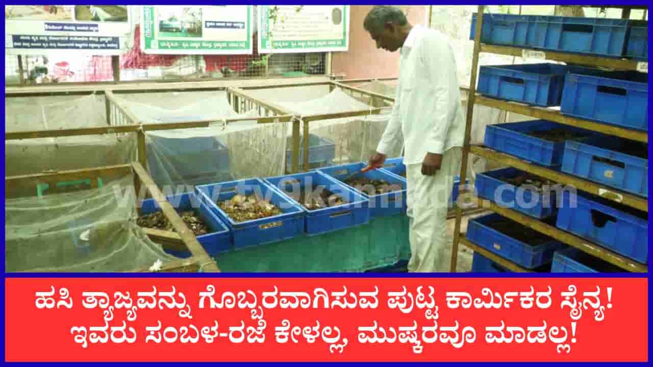 ಕಸ ತಿಂದು ‘ಚಿನ್ನ’ ಕೊಡುವ ಪುಟ್ಟ ಕಾರ್ಮಿಕರು! ಉಡುಪಿಯ ವಂಡ್ಸೆಯಲ್ಲಿ ಕೀಟಗಳ ನೆರವಿನಿಂದ ಕಸ ಮುಕ್ತ ಕ್ರಾಂತಿ