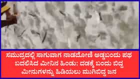 ಉಳ್ಳಾಲ ಕಡಲತೀರಕ್ಕೆ ಅಪ್ಪಳಿಸಿದ ಲಕ್ಷಾಂತರ ಬೂತಾಯಿ ಮೀನಿನ ರಾಶಿ: ಬಕೆಟ್, ಚೀಲ ಹಿಡಿದು ಓಡಿಬಂದ ಸ್ಥಳೀಯರು
