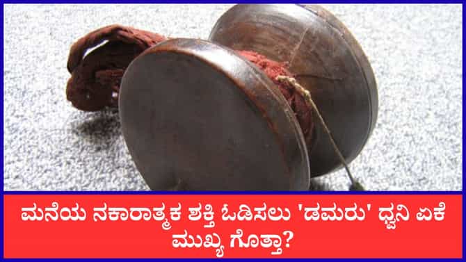 ಮನೆಯಲ್ಲಿ ಡಮರು ಇದ್ಯಾ? ಹಾಗಿದ್ರೆ ಈ ವಾಸ್ತು ನಿಯಮ ನಿಮಗೆ ತಿಳಿದಿರಲಿ!