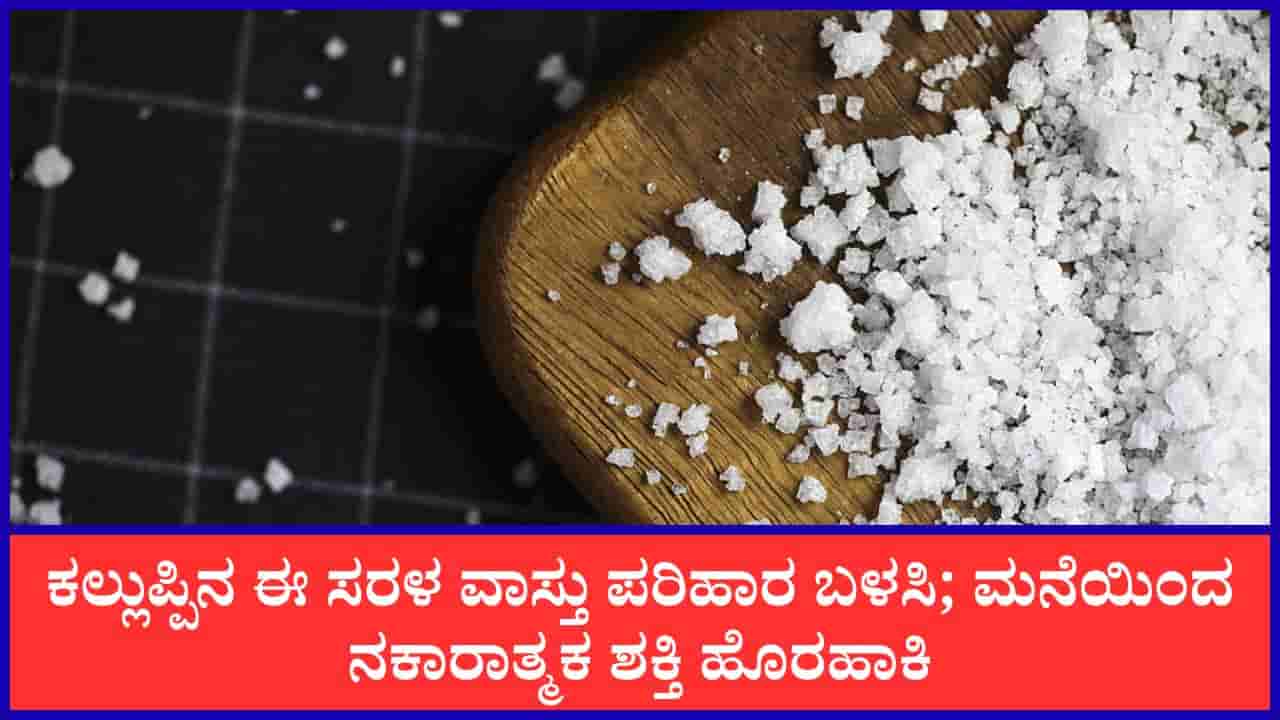 Rock Salt Vastu Tips: ಮನೆಯ ನಾಲ್ಕು ಮೂಲೆಗಳಲ್ಲಿ ಕಲ್ಲುಪ್ಪು ಇಡಿ; ಪ್ರಯೋಜನ ಸಾಕಷ್ಟಿವೆ