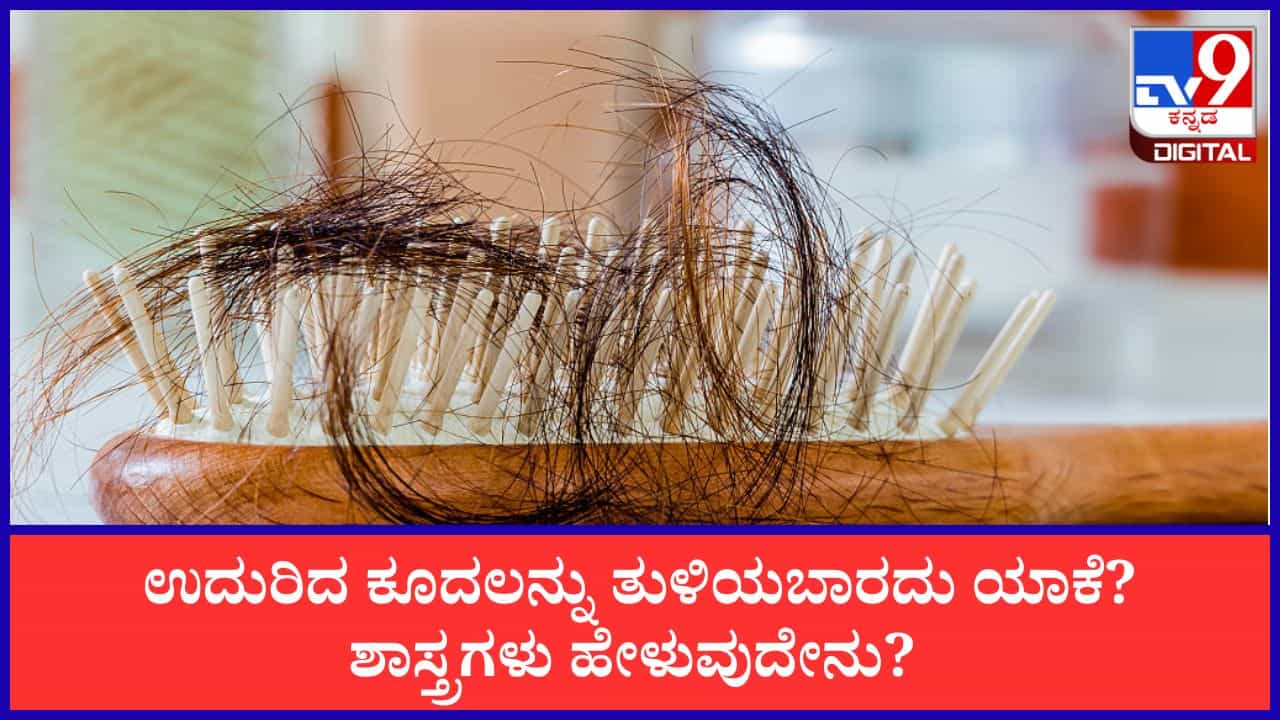 Fallen Hair: ನೆಲದ ಮೇಲೆ ಬಿದ್ದಿರುವ ತಲೆ ಕೂದಲನ್ನು ತುಳಿಯಬಾರದು ಯಾಕೆ? ಶಾಸ್ತ್ರಗಳು ಹೇಳುವುದೇನು? Fallen Hair: ನೆಲದ ಮೇಲೆ ಬಿದ್ದಿರುವ ತಲೆ ಕೂದಲನ್ನು ತುಳಿಯಬಾರದು ಯಾಕೆ? ಶಾಸ್ತ್ರಗಳು ಹೇಳುವುದೇನು?