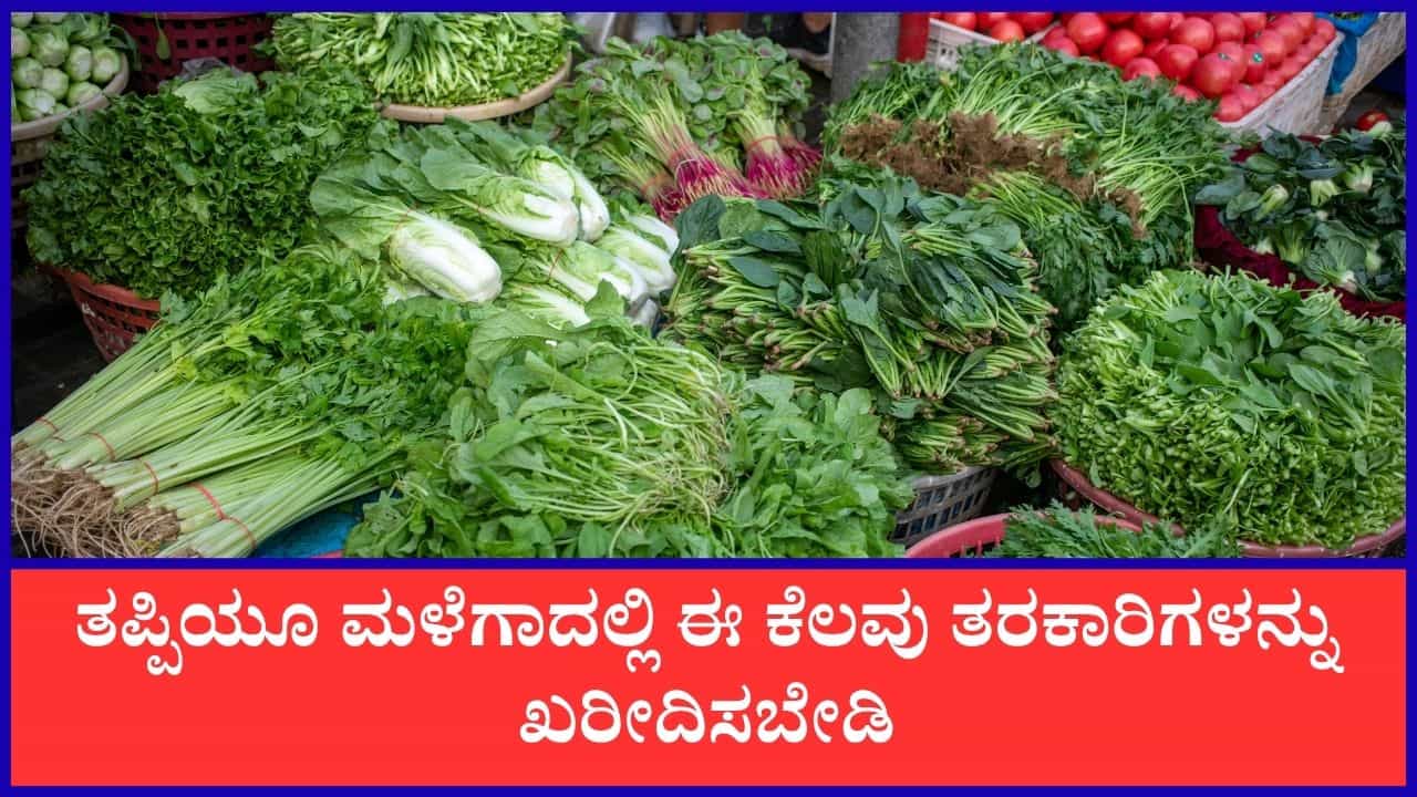 ಮಳೆಗಾಲದಲ್ಲಿ ಈ ತರಕಾರಿಗಳನ್ನು ತಿನ್ನುವುದನ್ನು ಆದಷ್ಟು ತಪ್ಪಿಸಿ