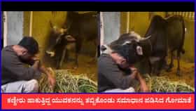 ಕಣ್ಣೀರು ಹಾಕುತ್ತಿದ್ದ ಯುವಕನನ್ನು ತಬ್ಬಿಕೊಂಡು ಸಮಾಧಾನ ಪಡಿಸಿದ ಗೋಮಾತೆ