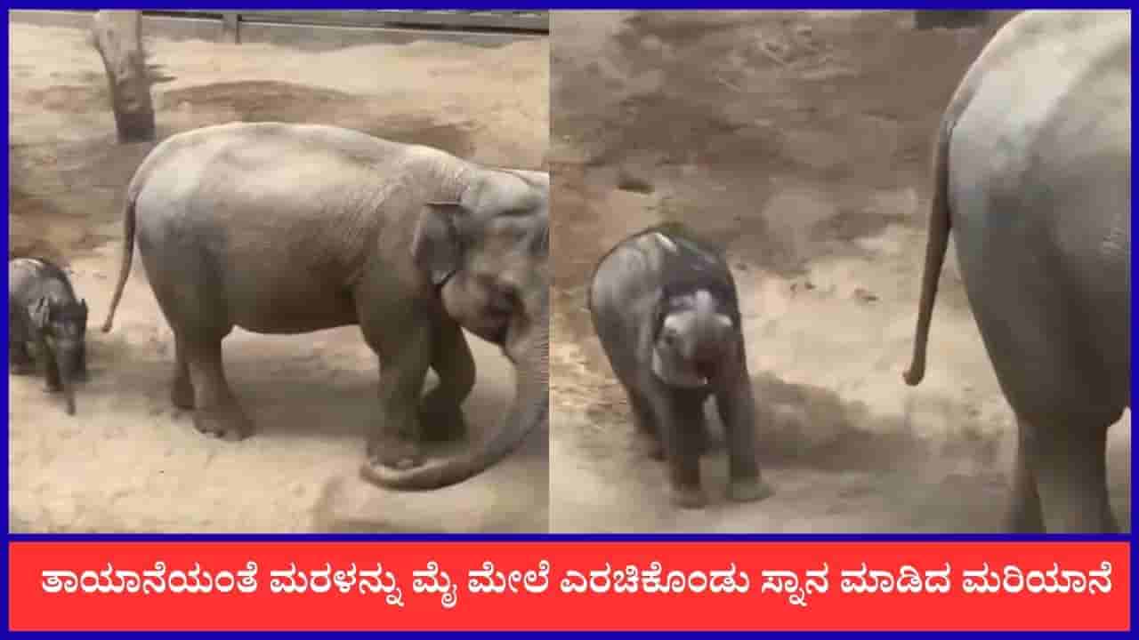 Video: ತಾಯಾನೆಯಂತೆ ಮರಳನ್ನು ಮೈ ಮೇಲೆ ಎರಚಿಕೊಂಡು ಸ್ನಾನ ಮಾಡಿದ ಮರಿಯಾನೆ