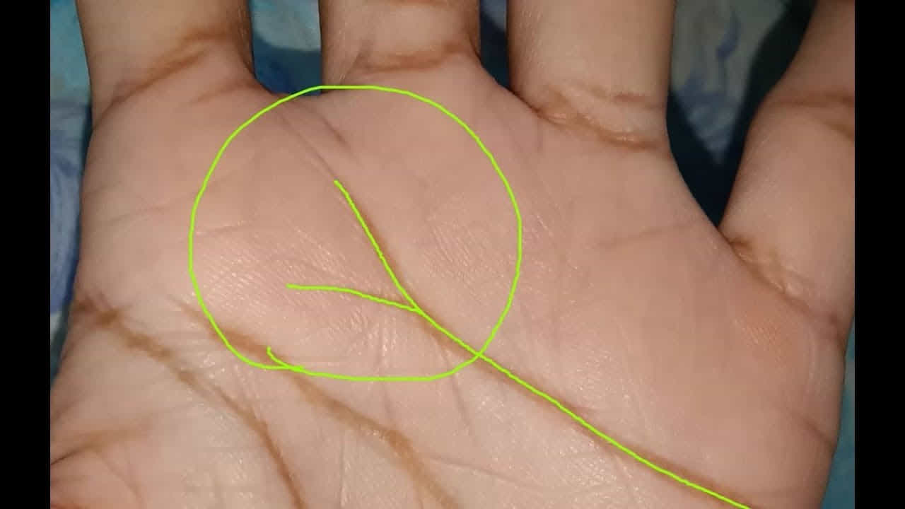 Palmistry: ಅಂಗೈಯಲ್ಲಿ 'V' ಆಕಾರದ ರೇಖೆ ಇದೆಯೇ? ಹಾಗಿದ್ದರೆ ನಿಮ್ಮ ಭವಿಷ್ಯದಲ್ಲಿ ಕಾದಿದೆ ಅನಿರೀಕ್ಷಿತ ಅದೃಷ್ಟ!