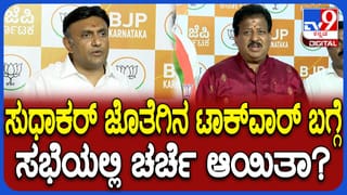 ಕೆ ಸುಧಾಕರ್‌ ಜೊತೆಗಿನ ವೈಮನಸಿನ ಬಗ್ಗೆ ಬಿಜೆಪಿ ಸಭೆಯಲ್ಲಿ ಚರ್ಚೆ ಆಯ್ತಾ? ಎಸ್​ಆರ್​ ವಿಶ್ವನಾಥ್ ಹೇಳಿದ್ದಿಷ್ಟು