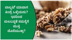 ಮಲಬದ್ಧತೆ ಸಮಸ್ಯೆ ಇದ್ದರೆ ವಾಲ್ನಟ್ ಈ ಸಮಯದಲ್ಲಿ ತಿಂದು ನೋಡಿ