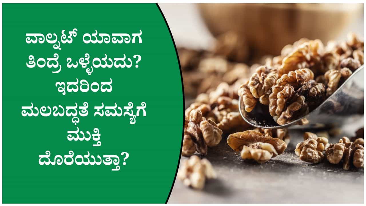 ಒಂದು ಮುಷ್ಠಿ ಅಕ್ರೋಟ್‌ನಿಂದ ದಿನ ಆರಂಭಿಸಿ; ದೇಹದಲ್ಲಿ ಎಷ್ಟೆಲ್ಲಾ ಬದಲಾವಣೆಯಾಗುತ್ತೆ ನೋಡಿ