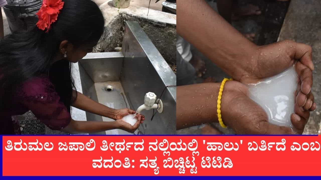 ತಿರುಮಲ ಜಪಾಲಿ ತೀರ್ಥದ ನಲ್ಲಿಯಲ್ಲಿ 'ಹಾಲು' ಬರ್ತಿದೆ ಎಂಬ ವದಂತಿ: ಸತ್ಯ ಬಿಚ್ಚಿಟ್ಟ ಟಿಟಿಡಿ ತಿರುಮಲ ಜಪಾಲಿ ತೀರ್ಥದ ನಲ್ಲಿಯಲ್ಲಿ 'ಹಾಲು' ಬರ್ತಿದೆ ಎಂಬ ವದಂತಿ: ಸತ್ಯ ಬಿಚ್ಚಿಟ್ಟ ಟಿಟಿಡಿ