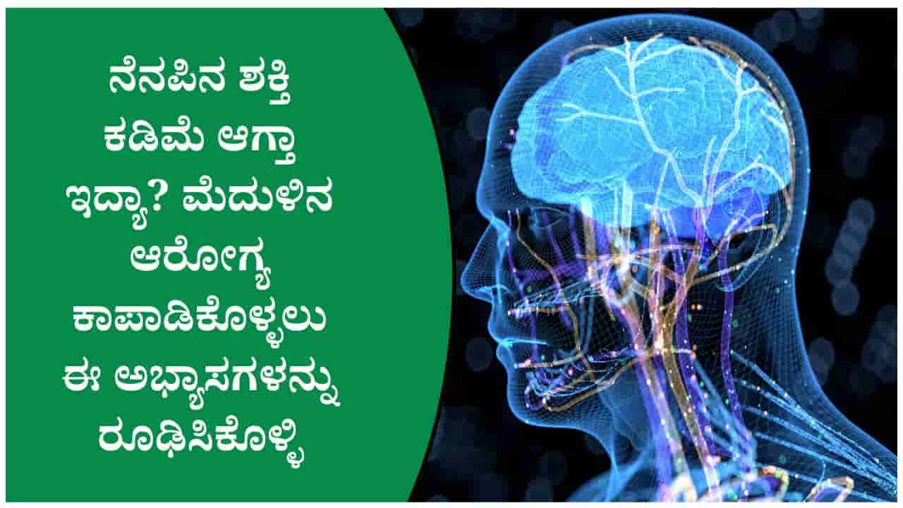 ಮೆದುಳಿನ ಆರೋಗ್ಯ ಕಾಪಾಡಲು ಡಬ್ಲ್ಯೂಎಚ್ಓ ಶಿಫಾರಸು ಮಾಡಿರುವ ಈ ಅಭ್ಯಾಸಗಳನ್ನು ರೂಢಿಸಿಕೊಳ್ಳಿ