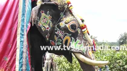 6 ಬಾರಿ ಅಂಬಾರಿ ಹೊತ್ತು ನಿವೃತ್ತಿಯಾದ ಅಭಿಮನ್ಯುಗೆ ಮತ್ತೊಂದು ಹೊಣೆಗಾರಿಕೆ?