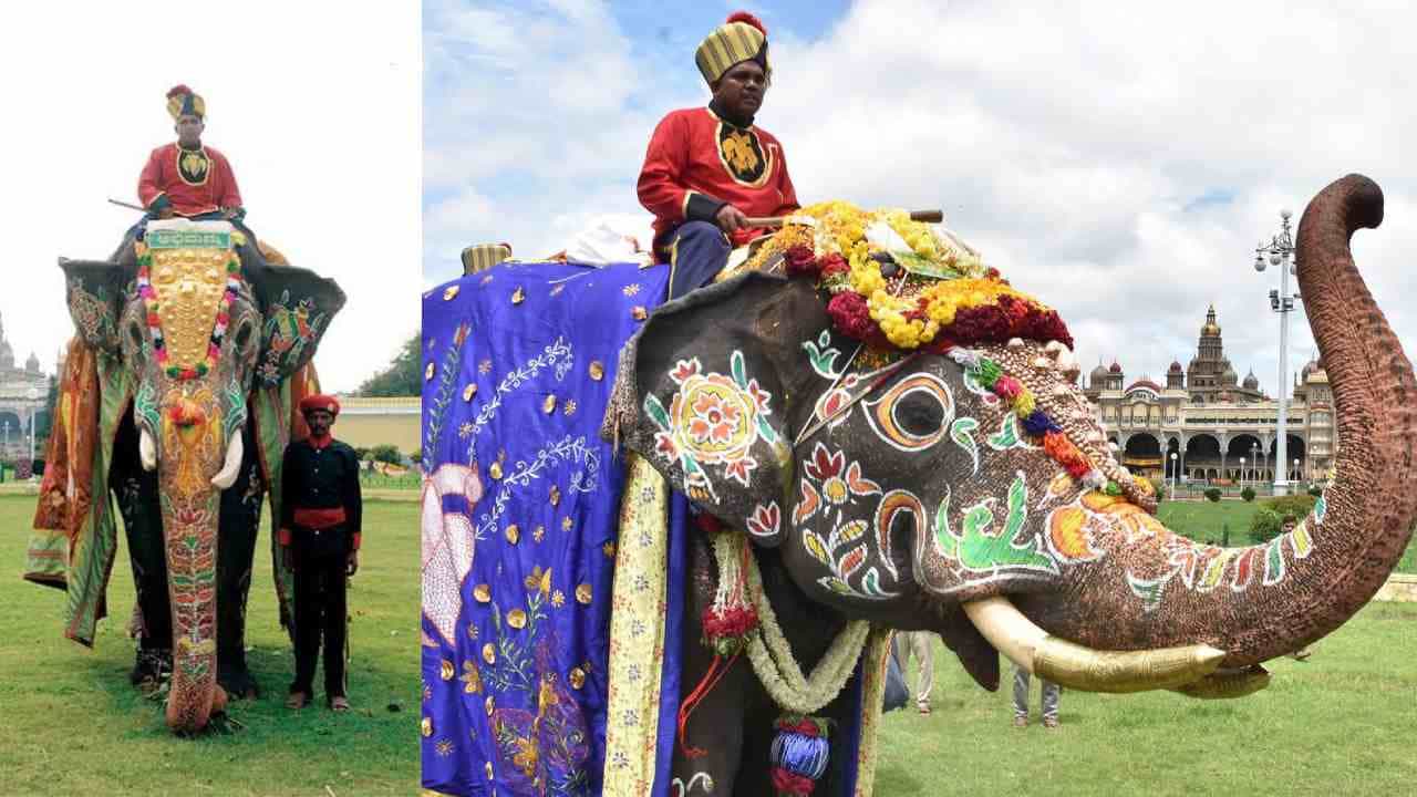 ಕ್ಯಾಪನ್ ಅಭಿಮನ್ಯು ಆನೆಗೆ ಗೌರವಯುತ ಬೀಳ್ಕೊಡಿಗೆ ನೀಡುವಂತೆ ಈಶ್ವರ್ ಖಂಡ್ರೆ ಪತ್ರ ಕ್ಯಾಪನ್ ಅಭಿಮನ್ಯು ಆನೆಗೆ ಗೌರವಯುತ ಬೀಳ್ಕೊಡಿಗೆ ನೀಡುವಂತೆ ಈಶ್ವರ್ ಖಂಡ್ರೆ ಪತ್ರ
