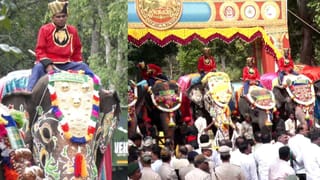 ಮೈಸೂರು ದಸರಾ ಗಜಪಯಣಕ್ಕೆ ಅದ್ಧೂರಿ ಚಾಲನೆ: ಅಭಿಮನ್ಯುಗೆ ಭಾವುಕ ಬೀಳ್ಕೊಡುಗೆಯ ಕ್ಷಣಗಳು