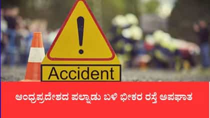 ಆಂಧ್ರಪ್ರದೇಶದ ಪಲ್ನಾಡು ಬಳಿ ಭೀಕರ ರಸ್ತೆ ಅಪಘಾತ