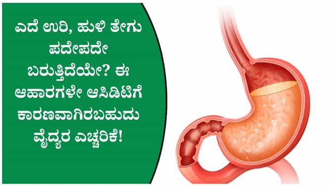 ಆಸಿಡಿಟಿ ಹೆಚ್ಚಿಸುವ ಆಹಾರಗಳು ಯಾವುವು? ತಪ್ಪದೇ ತಿಳಿಯಬೇಕಾದ ಮಾಹಿತಿ