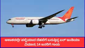 ಆಕಾಶದಿಂದ 300 ಅಡಿ ಕುಸಿದ ಫುಕೆಟ್-ದೆಹಲಿ ವಿಮಾನ; 14 ಜನರಿಗೆ ಗಾಯ