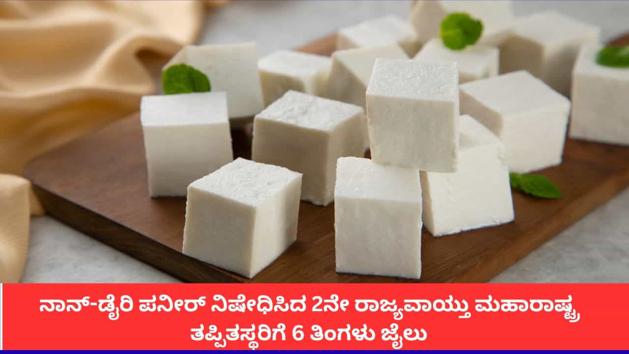 ಮಹಾರಾಷ್ಟ್ರದಲ್ಲಿ ಹಾಲೇತರ ಪನೀರ್ ಸಂಪೂರ್ಣ ನಿಷೇಧ; ನಿಯಮ ಉಲ್ಲಂಘಿಸಿದರೆ 6 ತಿಂಗಳು ಜೈಲು, 1 ಲಕ್ಷ ರೂ. ದಂಡ