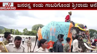 ಮೈಸೂರು: ಅರಮನೆ ಪ್ರವೇಶಿಸುತ್ತಿದ್ದಂತೆ ಜನರನ್ನ ಕಂಡು ಗಾಬರಿಗೊಂಡ ಶ್ರೀರಾಮ ಆನೆ