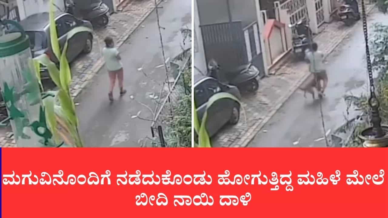 ಕೈಯಲ್ಲಿ ಮಗು ಇರುವಾಗ ಕಚ್ಚೇ ಬಿಡ್ತು ನಾಯಿ, ಭಯದಿಂದ ಮಹಿಳೆ ನಡುಗಿದಾಗ ಕೈಯಿಂದ ಜಾರಿ ಬಿದ್ದ ಪಾಪು ಕೈಯಲ್ಲಿ ಮಗು ಇರುವಾಗ ಕಚ್ಚೇ ಬಿಡ್ತು ನಾಯಿ, ಭಯದಿಂದ ಮಹಿಳೆ ನಡುಗಿದಾಗ ಕೈಯಿಂದ ಜಾರಿ ಬಿದ್ದ ಪಾಪು