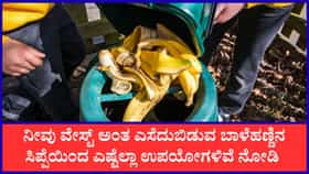 ಬಾಳೆಹಣ್ಣಿನ ಸಿಪ್ಪೆಯನ್ನು ಎಸೆಯಬೇಡಿ, ಈ ರೀತಿ ಮರುಬಳಕೆ ಮಾಡಿ