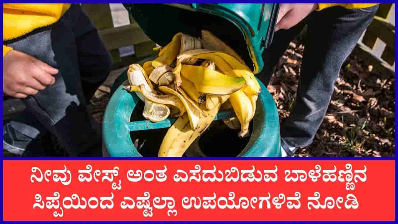 ವೇಸ್ಟ್ ಎಂದು ಎಸೆಯುವ ಬಾಳೆಹಣ್ಣಿನ ಸಿಪ್ಪೆಯನ್ನು ಹೇಗೆಲ್ಲಾ ಮರುಬಳಕೆ ಮಾಡ್ಬೋದು ನಿಮ್ಗೊತ್ತಾ?