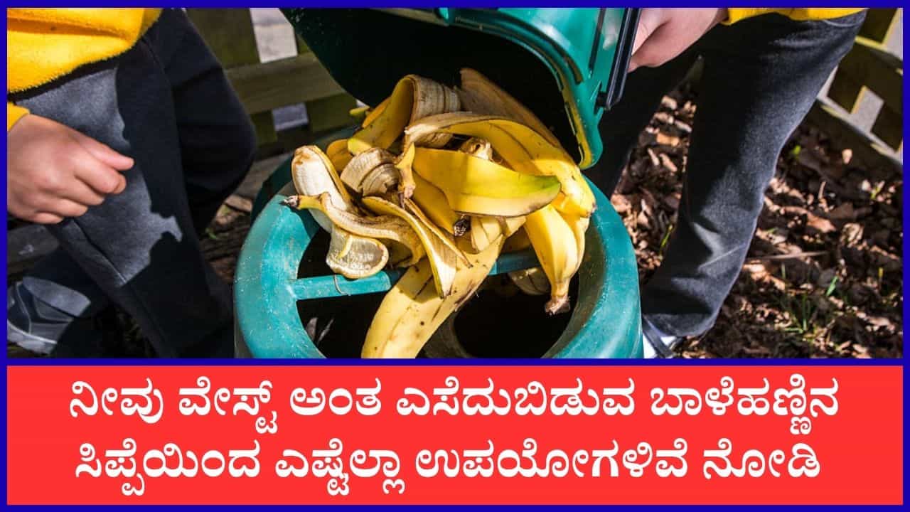 ವೇಸ್ಟ್ ಎಂದು ಎಸೆಯುವ ಬಾಳೆಹಣ್ಣಿನ ಸಿಪ್ಪೆಯನ್ನು ಹೇಗೆಲ್ಲಾ ಮರುಬಳಕೆ ಮಾಡ್ಬೋದು ನಿಮ್ಗೊತ್ತಾ? ವೇಸ್ಟ್ ಎಂದು ಎಸೆಯುವ ಬಾಳೆಹಣ್ಣಿನ ಸಿಪ್ಪೆಯನ್ನು ಹೇಗೆಲ್ಲಾ ಮರುಬಳಕೆ ಮಾಡ್ಬೋದು ನಿಮ್ಗೊತ್ತಾ?