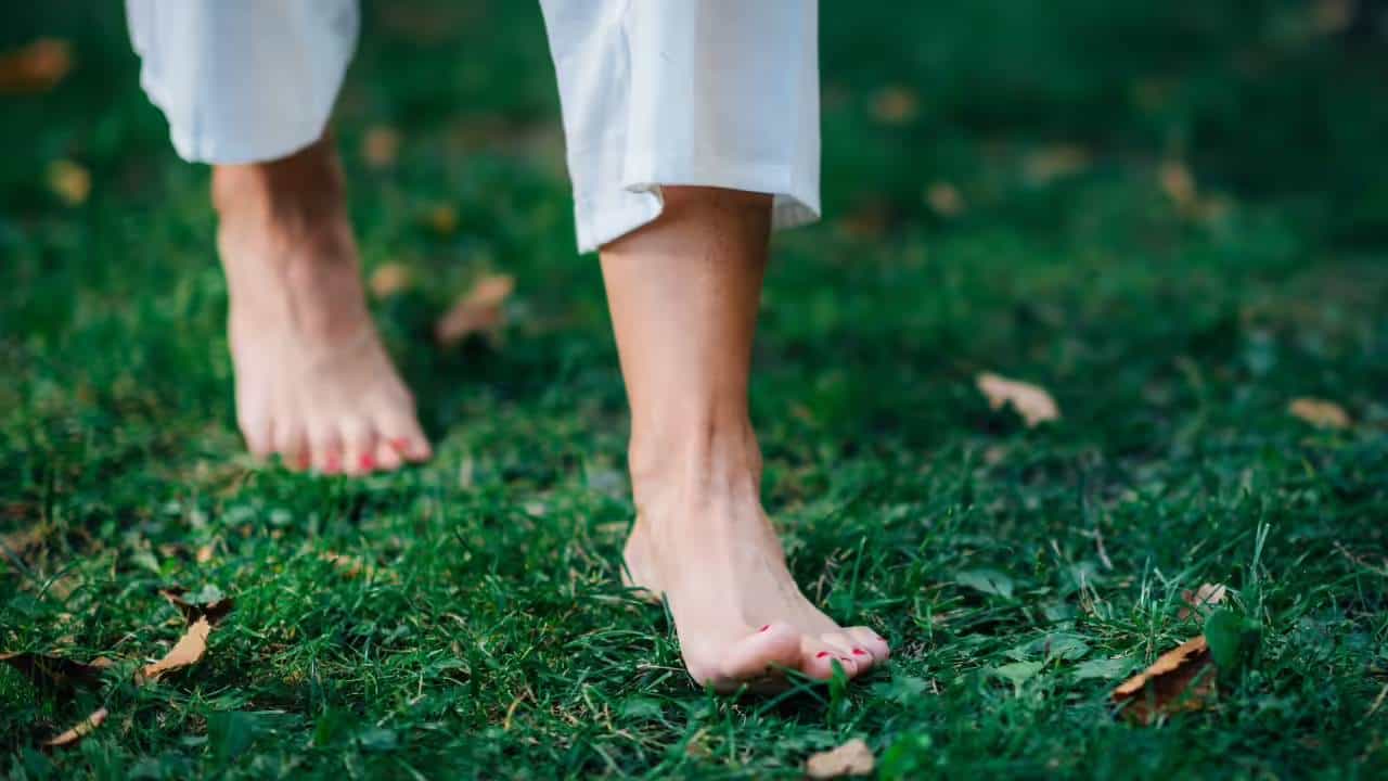 Walking: ಬರಿಗಾಲಿನಲ್ಲಿ ಹುಲ್ಲಿನ ಮೇಲೆ ನಡೆಯುವುದರಿಂದ ರಕ್ತದೊತ್ತಡ ಕಡಿಮೆಯಾಗುತ್ತದೆಯೇ? Walking: ಬರಿಗಾಲಿನಲ್ಲಿ ಹುಲ್ಲಿನ ಮೇಲೆ ನಡೆಯುವುದರಿಂದ ರಕ್ತದೊತ್ತಡ ಕಡಿಮೆಯಾಗುತ್ತದೆಯೇ?