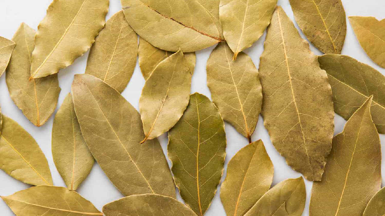 Bay Leaf Benefits: ಬಿರಿಯಾನಿ ಎಲೆ ಕೇವಲ ರುಚಿಗಷ್ಟೇ ಅಲ್ಲ, ಇದರ ಹಿಂದೆ ಅಡಗಿದೆ ಅದ್ಭುತ ಸಾಂಪ್ರದಾಯಿಕ ನಂಬಿಕೆ! Bay Leaf Benefits: ಬಿರಿಯಾನಿ ಎಲೆ ಕೇವಲ ರುಚಿಗಷ್ಟೇ ಅಲ್ಲ, ಇದರ ಹಿಂದೆ ಅಡಗಿದೆ ಅದ್ಭುತ ಸಾಂಪ್ರದಾಯಿಕ ನಂಬಿಕೆ!