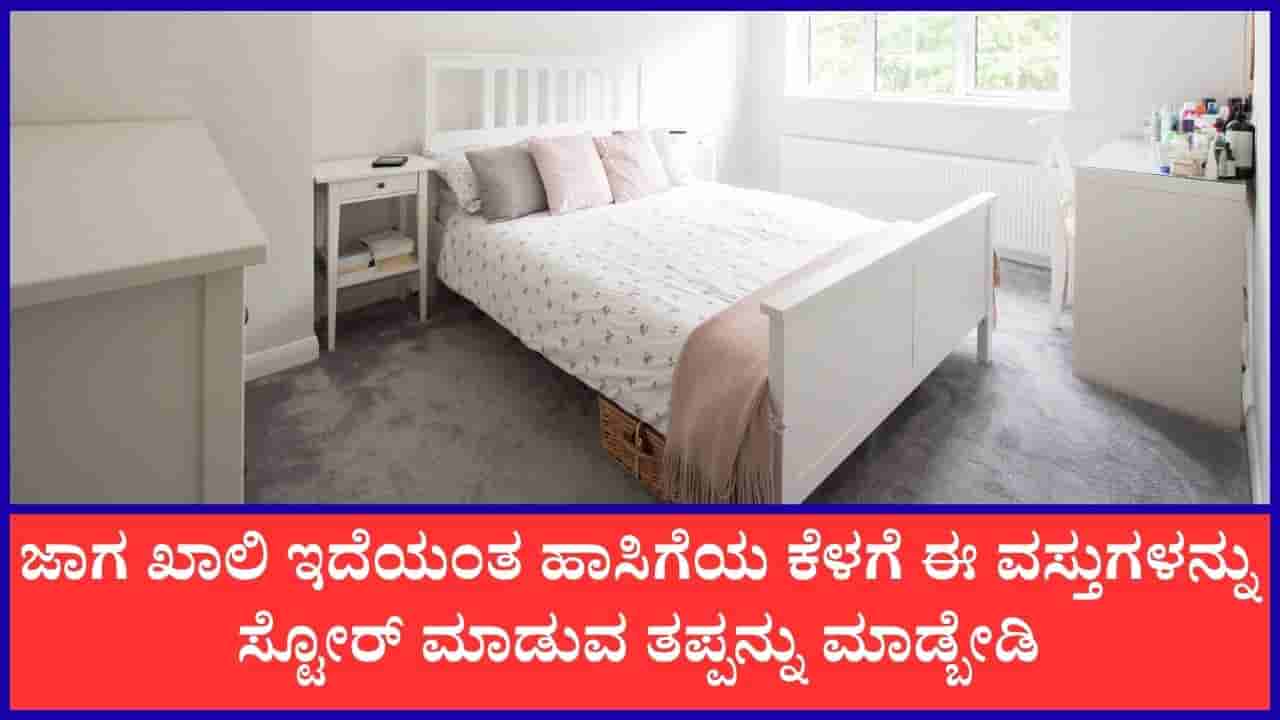 ಮಂಚದ ಕೆಳಗೆ ಈ ಕೆಲವು ವಸ್ತುಗಳನ್ನು ಇಡಲೇಬಾರದು; ಯಾಕೆ ಗೊತ್ತಾ?