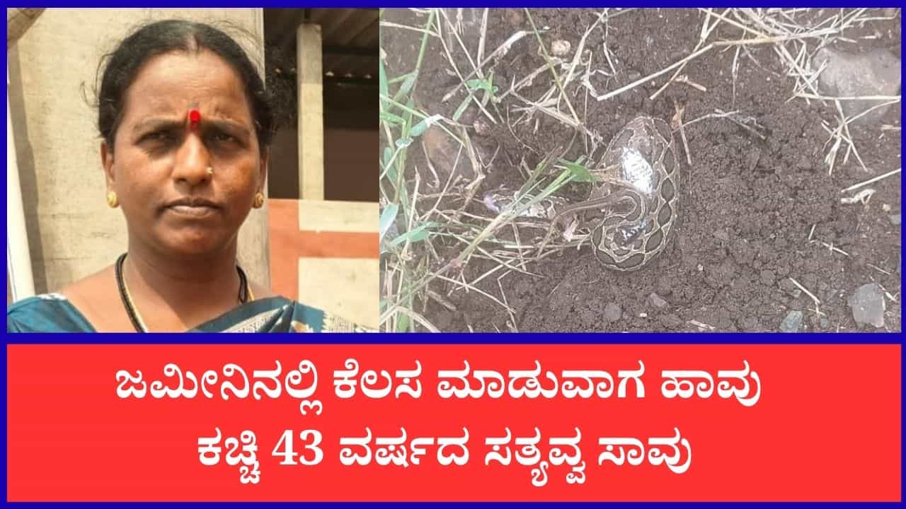 ನಾಗರಪಂಚಮಿ ಹಬ್ಬದಂದೇ ಹಾವು ಕಚ್ಚಿ ಮಹಿಳೆ ದುರಂತ ಸಾವು