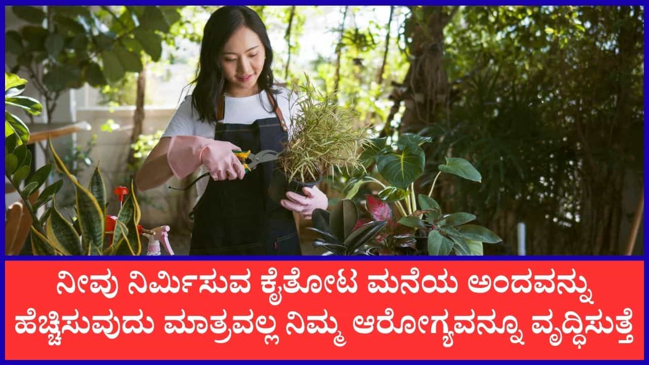 ಒತ್ತಡದಿಂದ ಮುಕ್ತರಾಗಲು ಬಯಸಿದರೆ ಗಾರ್ಡನಿಂಗ್ ಹವ್ಯಾಸವನ್ನು ಬೆಳೆಸಿಕೊಳ್ಳಿ ಒತ್ತಡದಿಂದ ಮುಕ್ತರಾಗಲು ಬಯಸಿದರೆ ಗಾರ್ಡನಿಂಗ್ ಹವ್ಯಾಸವನ್ನು ಬೆಳೆಸಿಕೊಳ್ಳಿ