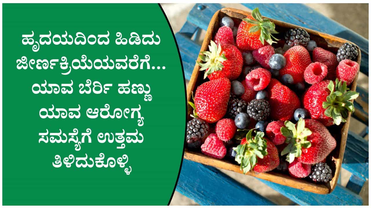 ಬ್ಲೂಬೆರಿ, ಸ್ಟ್ರಾಬೆರಿ, ಬ್ಲ್ಯಾಕ್ಬೆರಿ... ಯಾವ ಬೆರ್ರಿ ಹಣ್ಣು ಯಾವ ಆರೋಗ್ಯ ಸಮಸ್ಯೆಗೆ ಉತ್ತಮ ತಿಳಿದುಕೊಳ್ಳಿ ಬ್ಲೂಬೆರಿ, ಸ್ಟ್ರಾಬೆರಿ, ಬ್ಲ್ಯಾಕ್ಬೆರಿ... ಯಾವ ಬೆರ್ರಿ ಹಣ್ಣು ಯಾವ ಆರೋಗ್ಯ ಸಮಸ್ಯೆಗೆ ಉತ್ತಮ ತಿಳಿದುಕೊಳ್ಳಿ