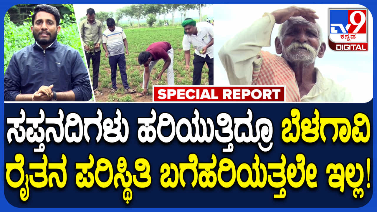 ಒಂದೆಡೆ ಅತಿವೃಷ್ಟಿ, ಮತ್ತೊಂದೆಡೆ ಅನಾವೃಷ್ಟಿ: ಬೆಳಗಾವಿ ಜಿಲ್ಲೆಯಲ್ಲಿ 70 ಸಾವಿರ ಹೆಕ್ಟೇರ್ ಬೆಳೆ ನಾಶ, ಸಂಕಷ್ಟದಲ್ಲಿ ರೈತರು