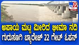 ಅಪಾಯದ ಮಟ್ಟ ಮೀರಿ ಹರಿಯುತ್ತಿರುವ ಭೀಮಾ: ನದಿ ತೀರಕ್ಕೆ ತೆರಳದಂತೆ ಕಟ್ಟೆಚ್ಚರ
