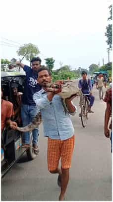 ಹೆಗಲ ಮೇಲೆ ಮೊಸಳೆ ಹೊತ್ತು ಪೊಲೀಸ್ ಠಾಣೆಗೆ ಬಂದ ಬಿಹಾರದ ಯುವಕ; ವಿಡಿಯೋ ವೈರಲ್